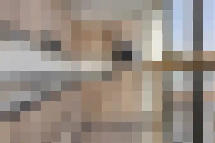 Noorderkade 22 G Alkmaar thumbnail 6