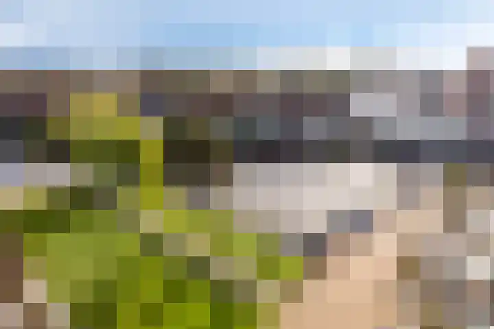 Noorderkade 22 G Alkmaar thumbnail 7
