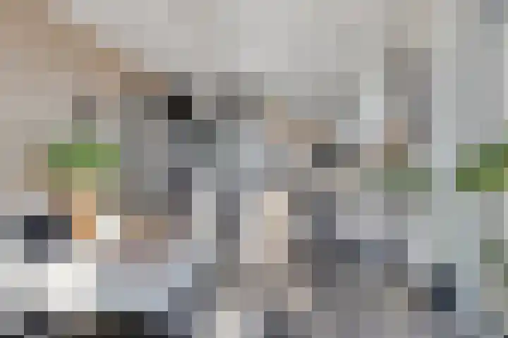Noorderkade 22 G Alkmaar thumbnail 9