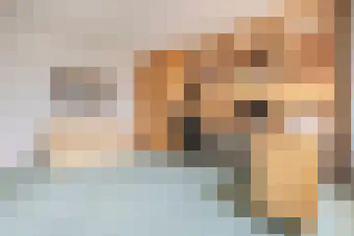 Noorderkade 314 Alkmaar thumbnail 29
