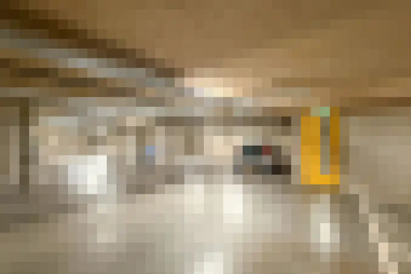 Noorderkade 4 A Alkmaar thumbnail 35