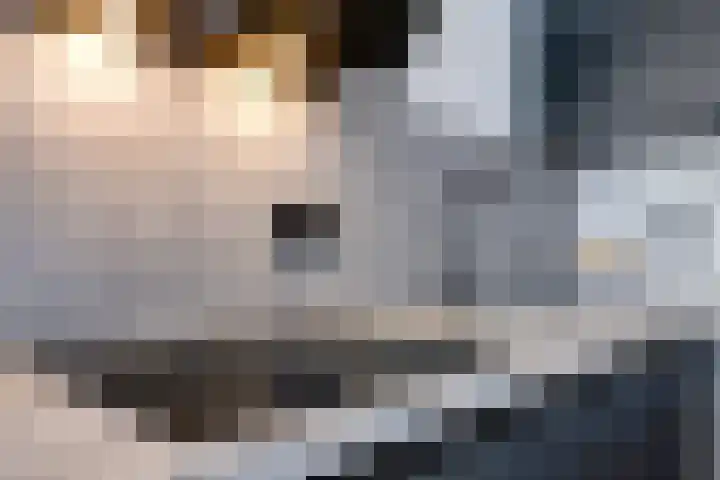 Noorderkade 4 C Alkmaar thumbnail 18