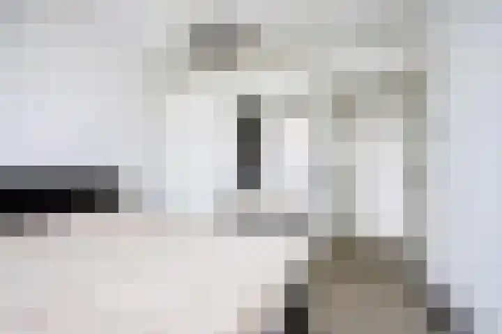 Noorderkade 4 C Alkmaar thumbnail 21