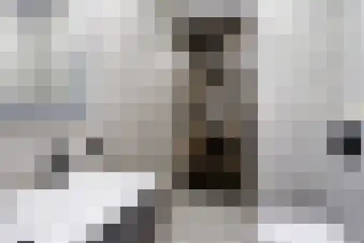 Noorderkade 4 C Alkmaar thumbnail 26