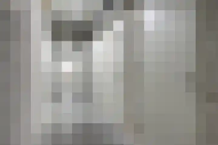 Noorderkade 4 C Alkmaar thumbnail 29