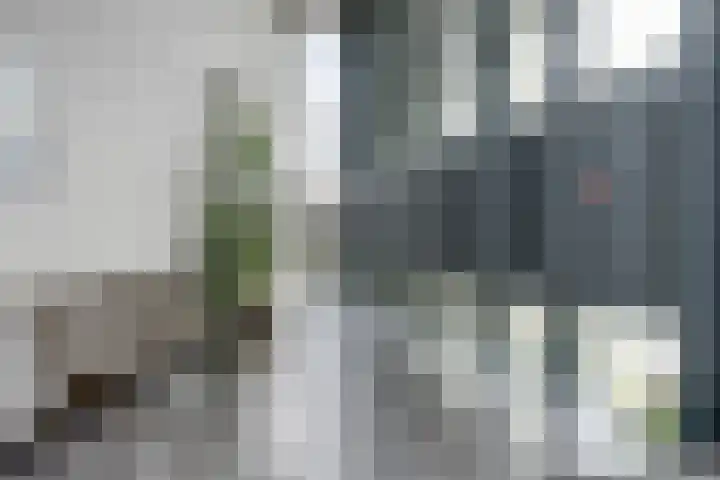 Noorderkade 4 C Alkmaar thumbnail 5