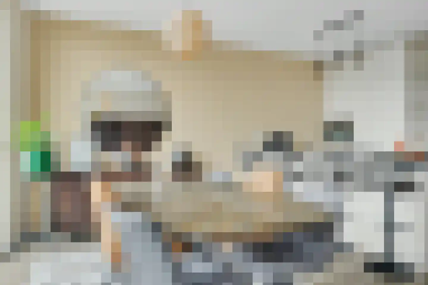 Noorderkade 4 F Alkmaar thumbnail 18