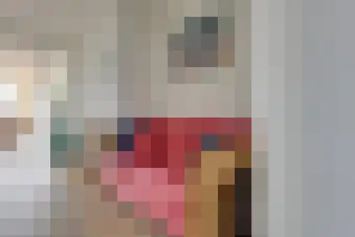 Noorderkade 411 Alkmaar thumbnail 10