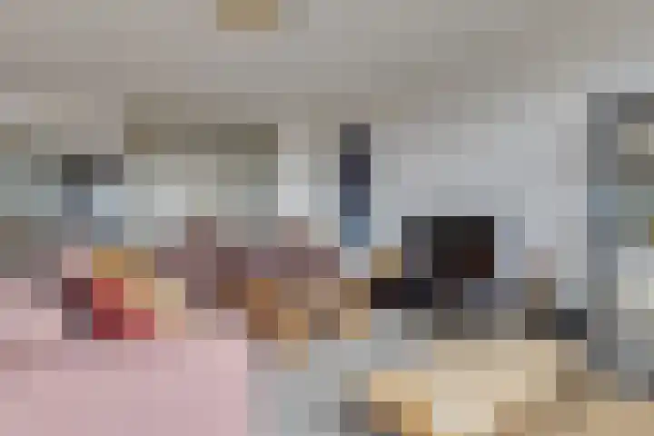 Noorderkade 411 Alkmaar thumbnail 12