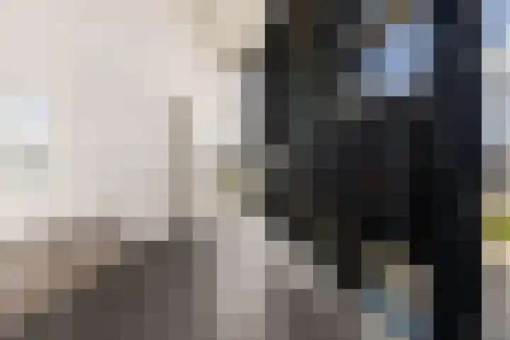 Noorderkade 5 B Alkmaar thumbnail 6