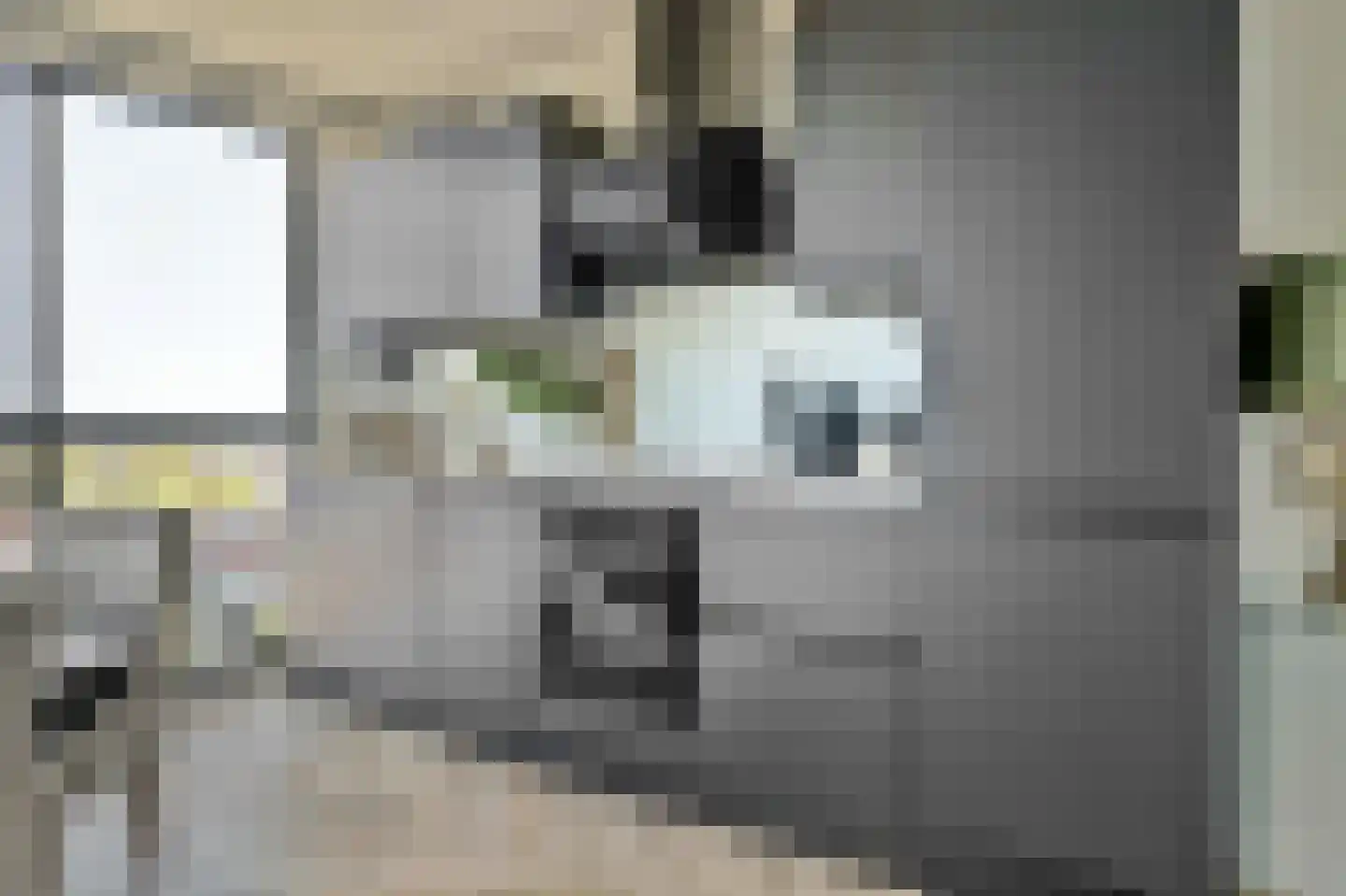 Noorderkade 5 H Alkmaar thumbnail 21