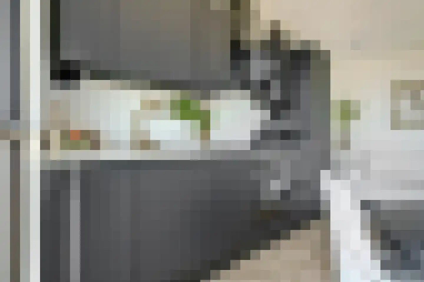 Noorderkade 5 H Alkmaar thumbnail 22