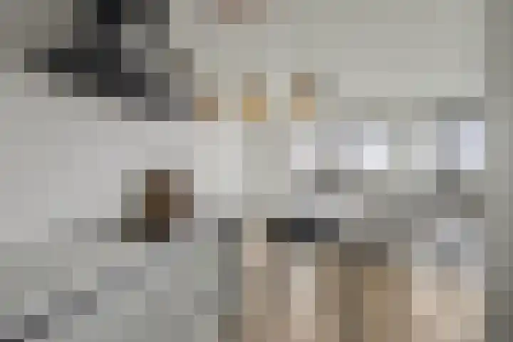 Noorderkade 5 K Alkmaar thumbnail 17