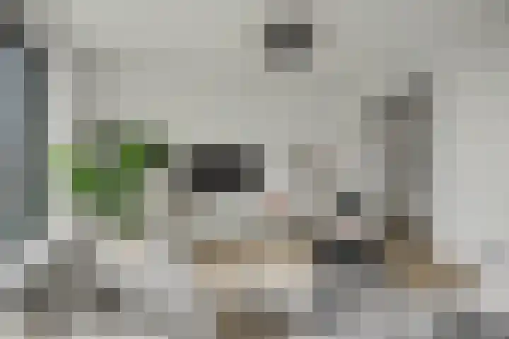 Noorderkade 5 K Alkmaar thumbnail 6