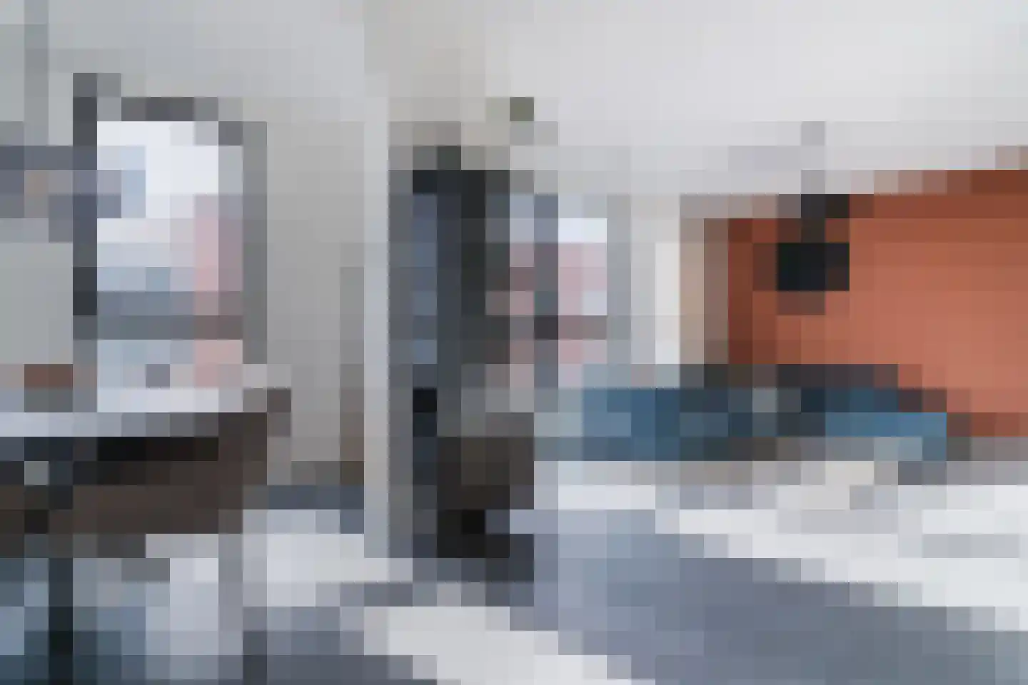 Noorderkade 6 G Alkmaar thumbnail 20