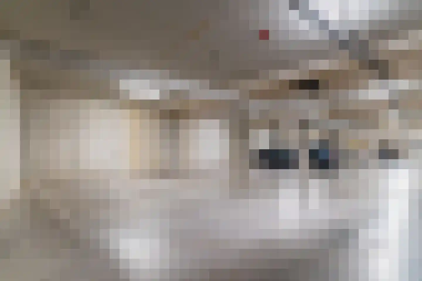 Noorderkade 6 G Alkmaar thumbnail 40