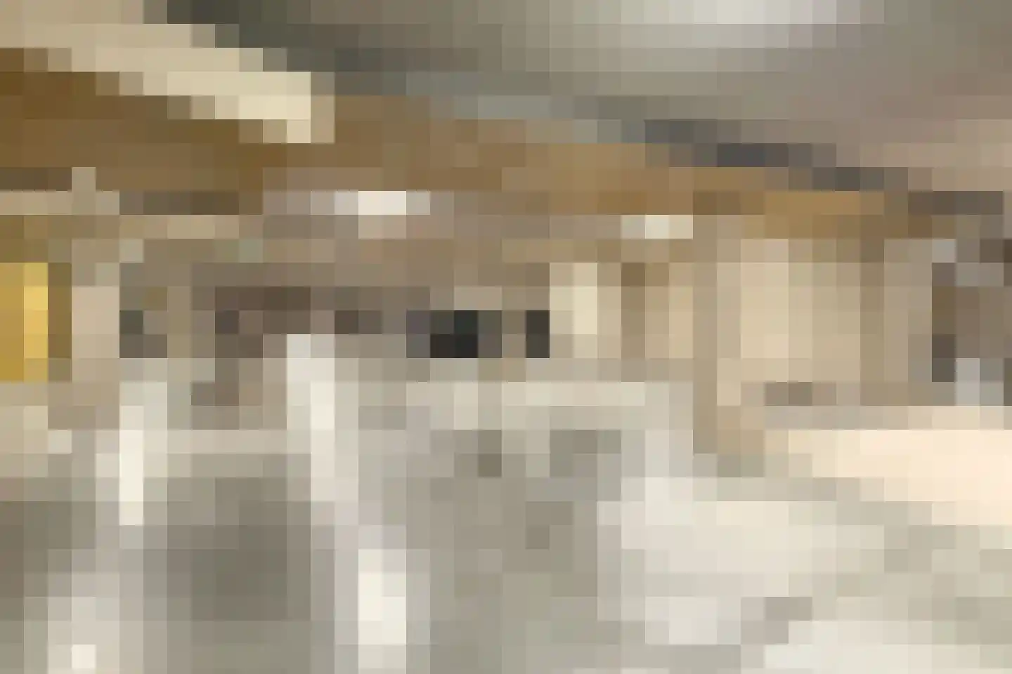 Noorderkade 7 C Alkmaar thumbnail 33