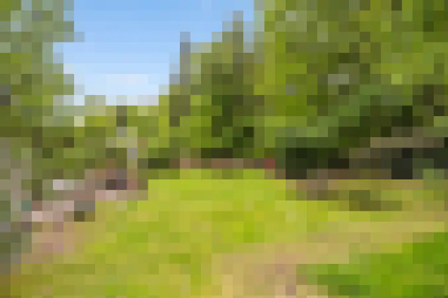 Noorderkampweg 13 Wapenveld thumbnail 36