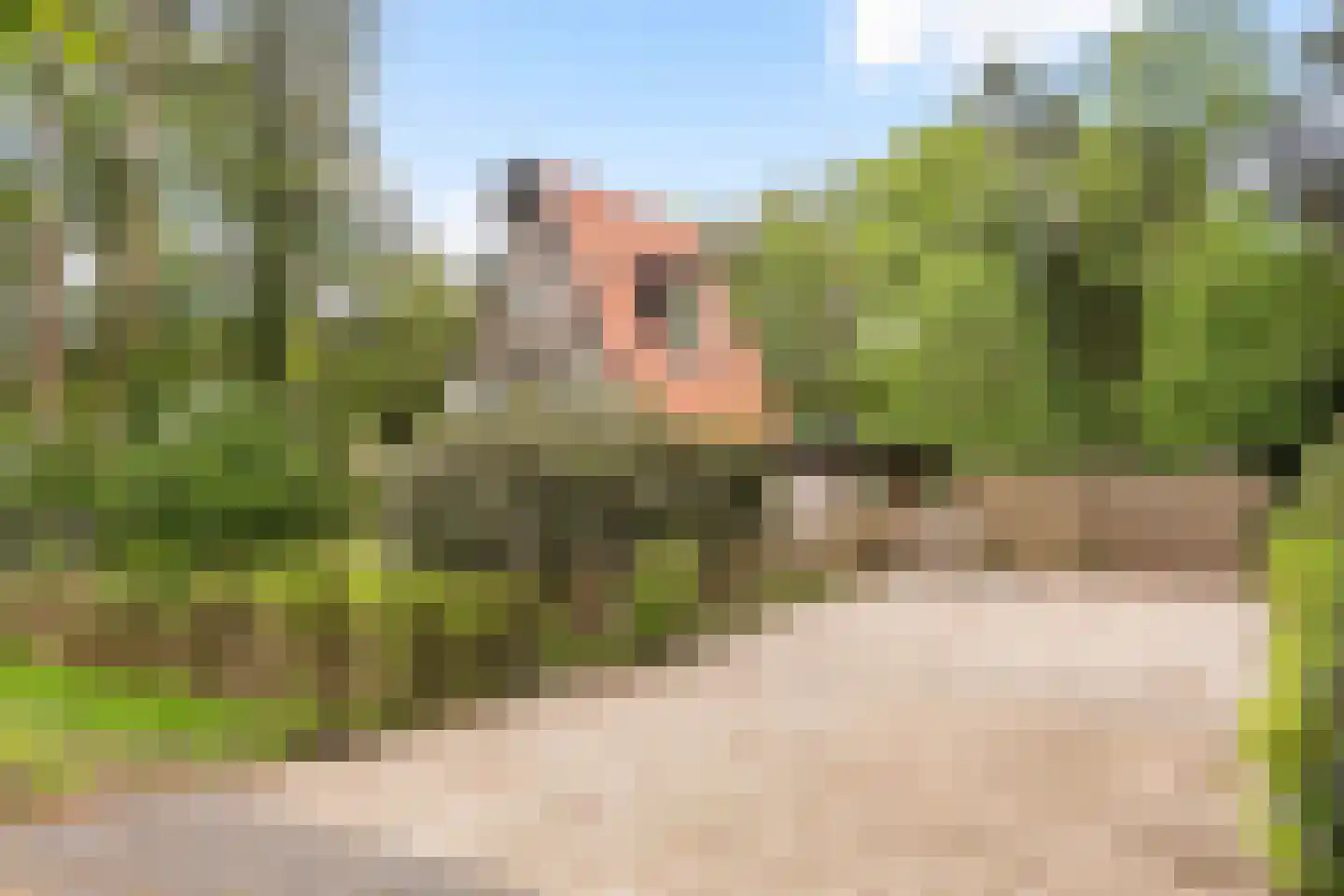 Noorderkampweg 13 Wapenveld thumbnail 4