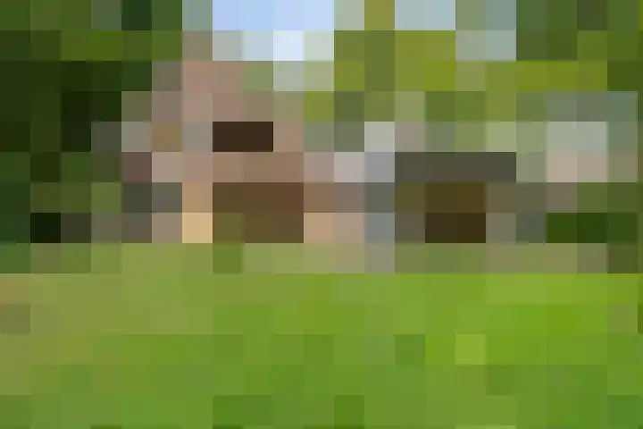 Noorderkampweg 7 b Wapenveld thumbnail 37
