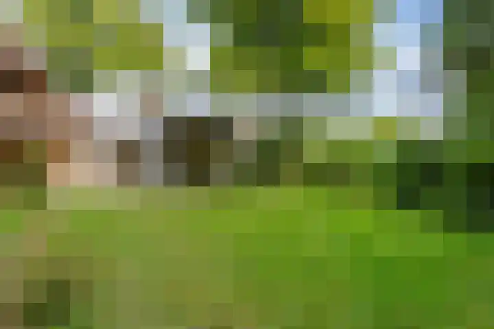 Noorderkampweg 7 b Wapenveld thumbnail 38