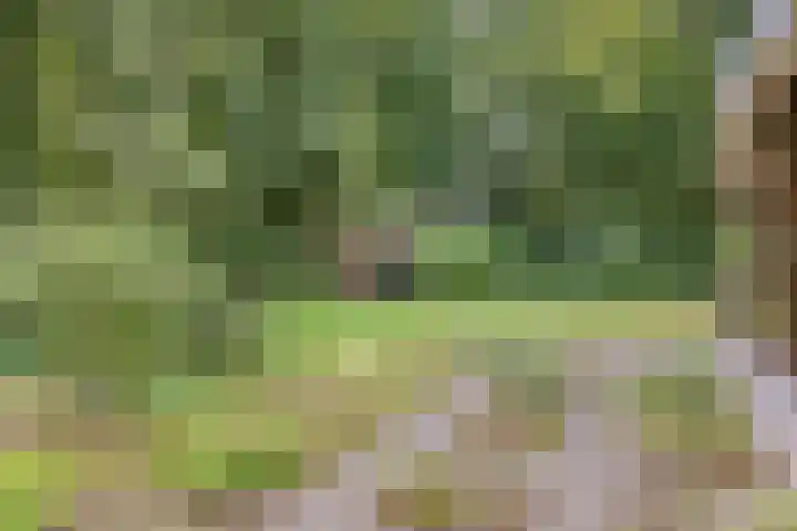Noorderkampweg 7 b Wapenveld thumbnail 39