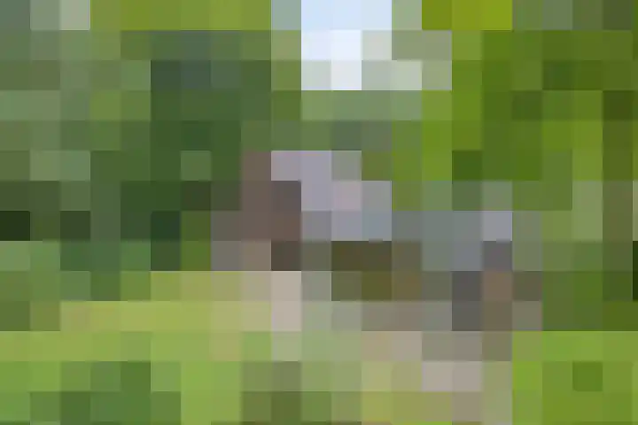 Noorderkampweg 7 b Wapenveld thumbnail 43