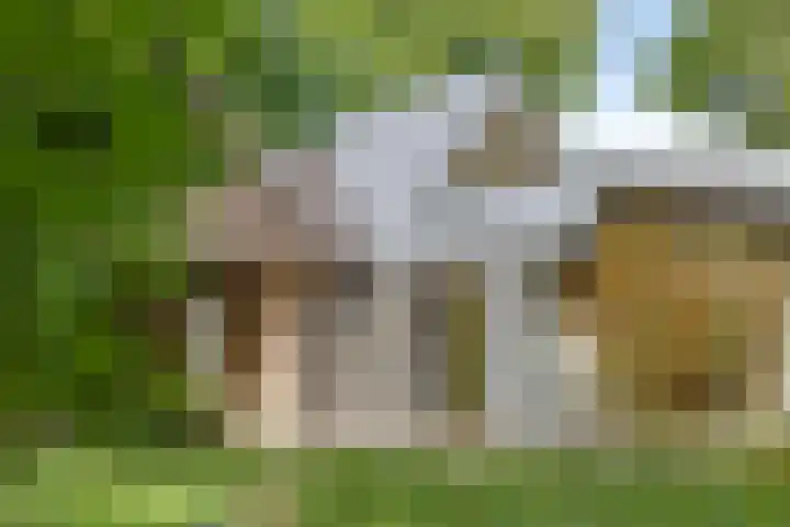 Noorderkampweg 7 b Wapenveld thumbnail 5