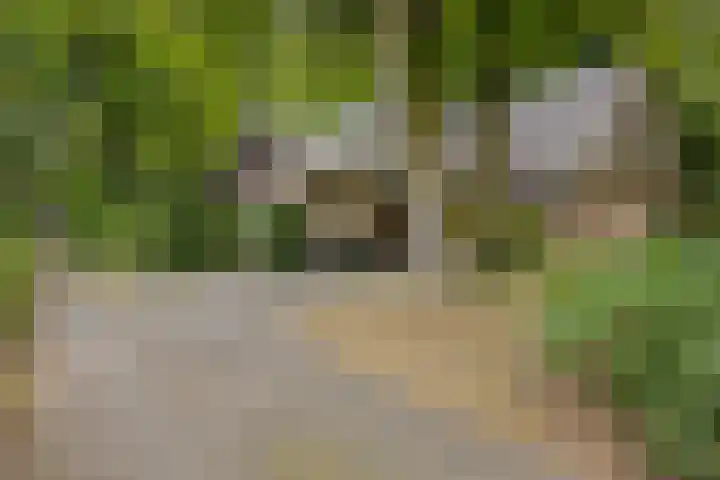 Noorderkampweg 7 b Wapenveld thumbnail 51