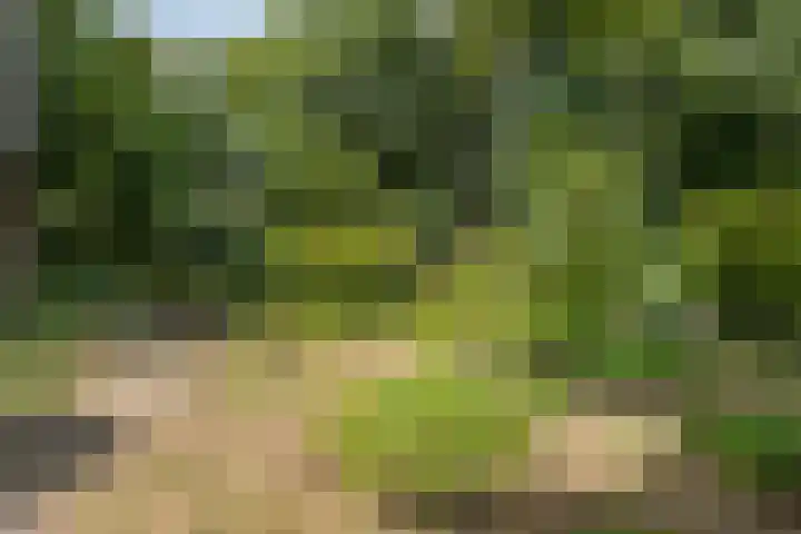 Noorderkampweg 7 b Wapenveld thumbnail 52