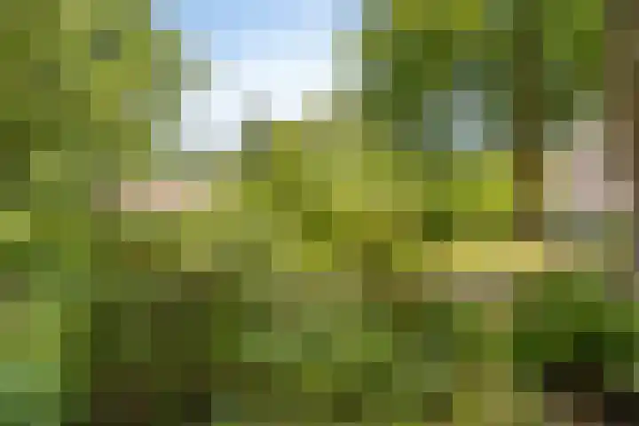 Noorderkampweg 7 b Wapenveld thumbnail 53