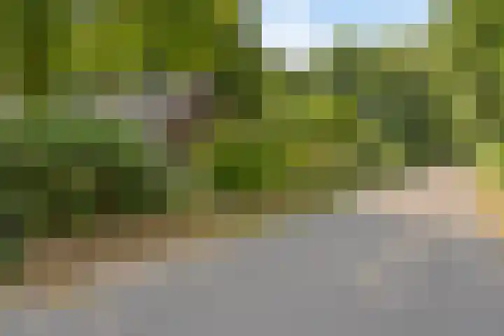 Noorderkampweg 7 b Wapenveld thumbnail 54