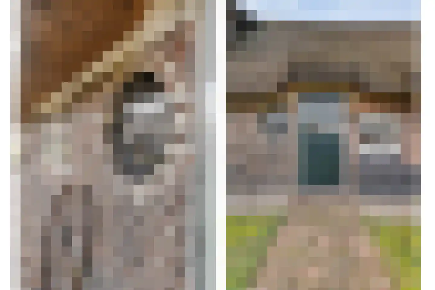 Noorderkanaalweg 7 Koekange thumbnail 11