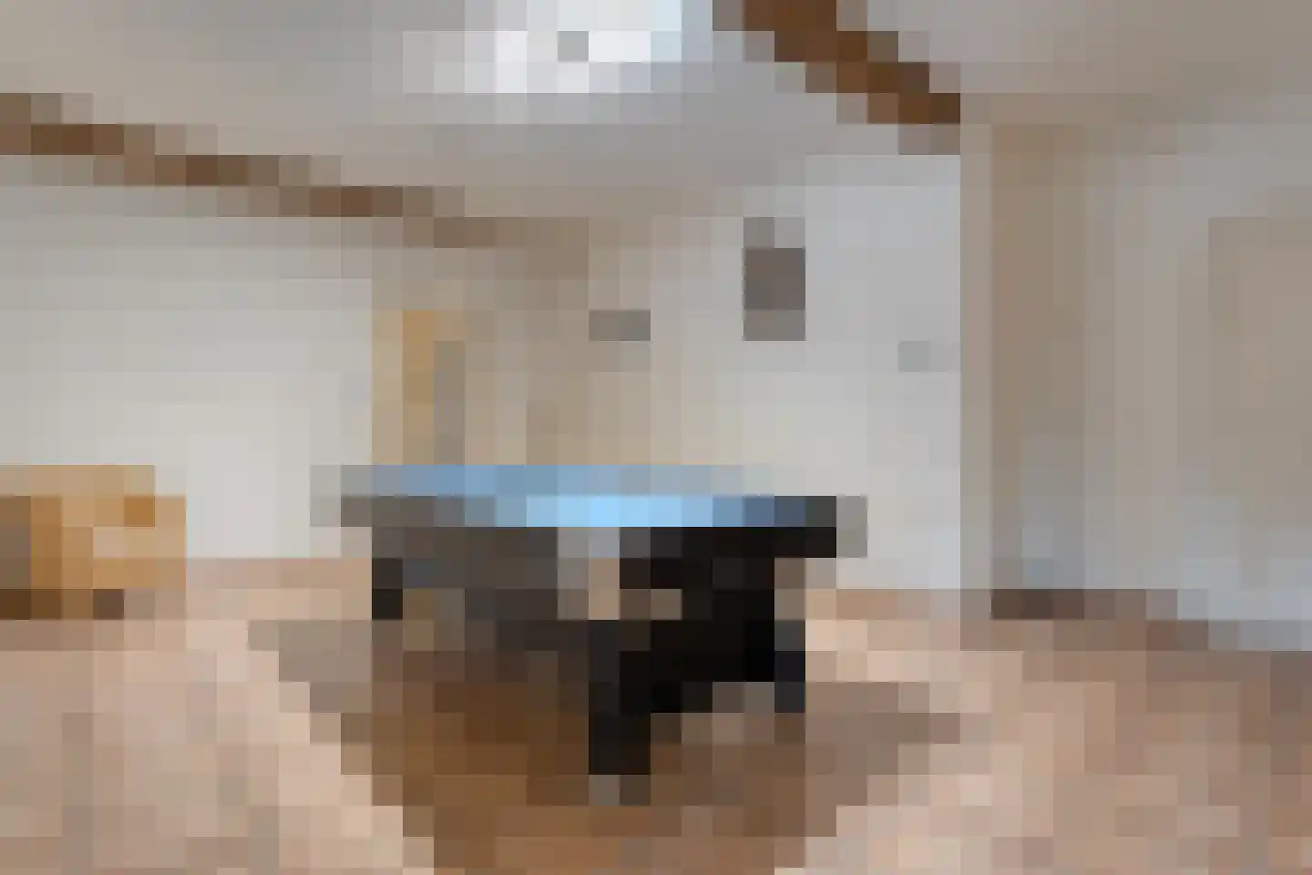 Noorderkanaalweg 7 Koekange thumbnail 24