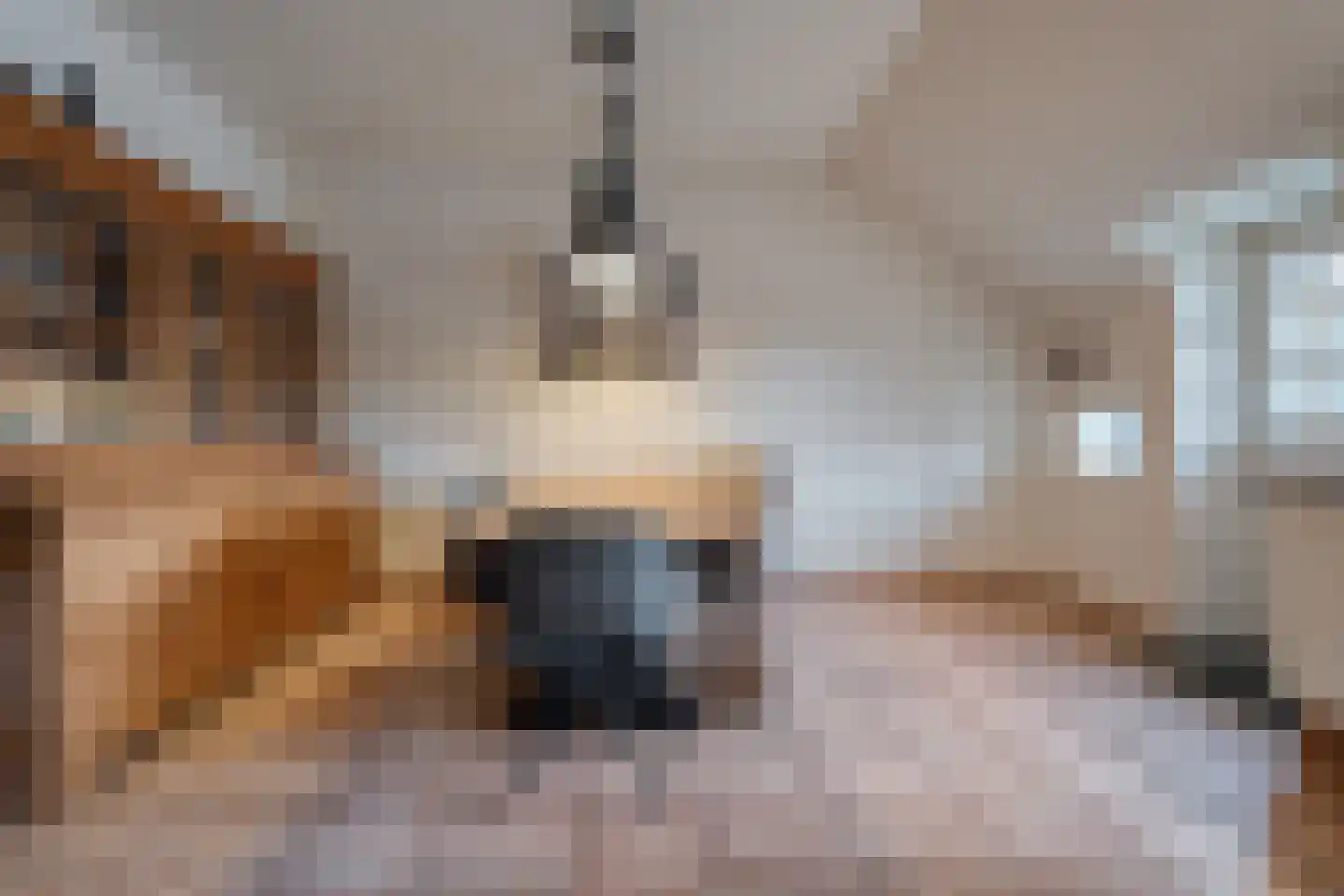 Noorderkanaalweg 7 Koekange thumbnail 29