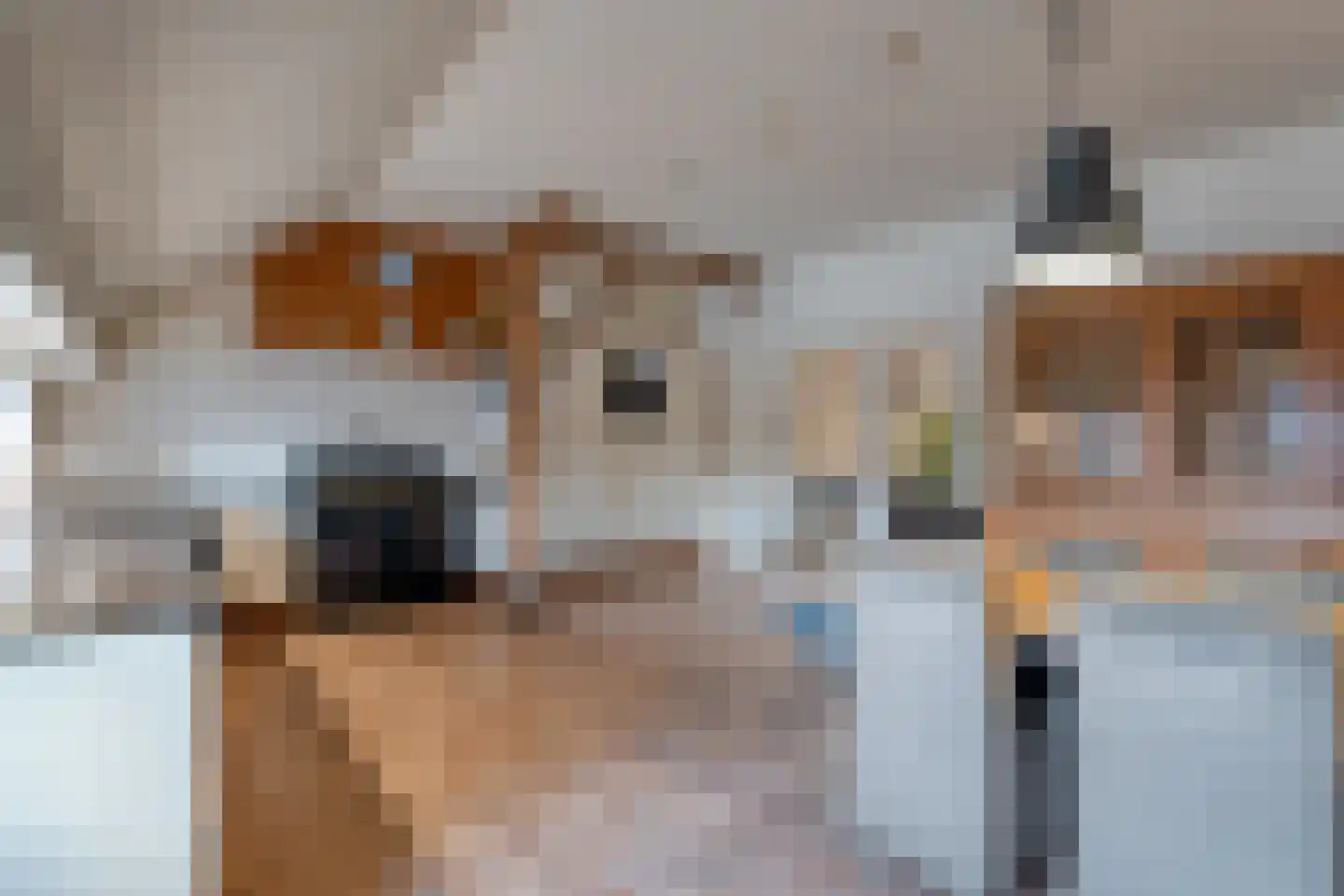 Noorderkanaalweg 7 Koekange thumbnail 30
