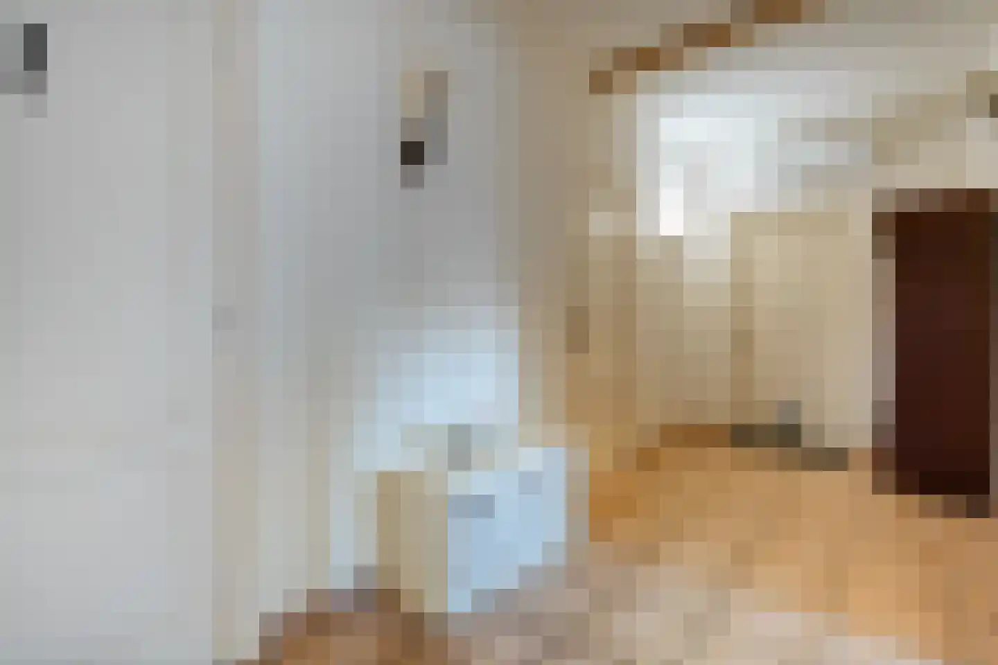 Noorderkanaalweg 7 Koekange thumbnail 37