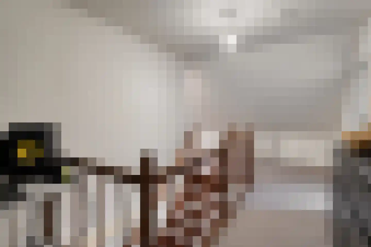 Noorderkanaalweg 7 Koekange thumbnail 52