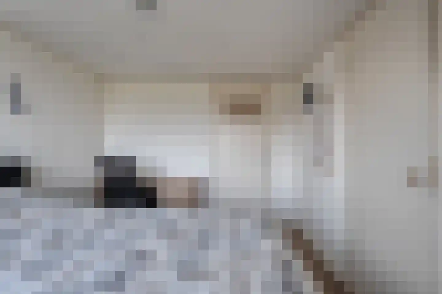 Noorderkanaalweg 7 Koekange thumbnail 54