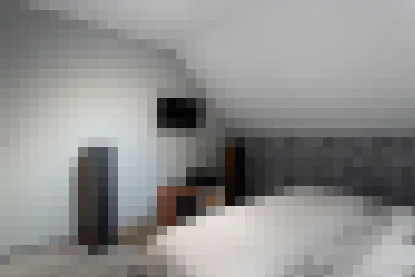 Noorderkanaalweg 7 Koekange thumbnail 56