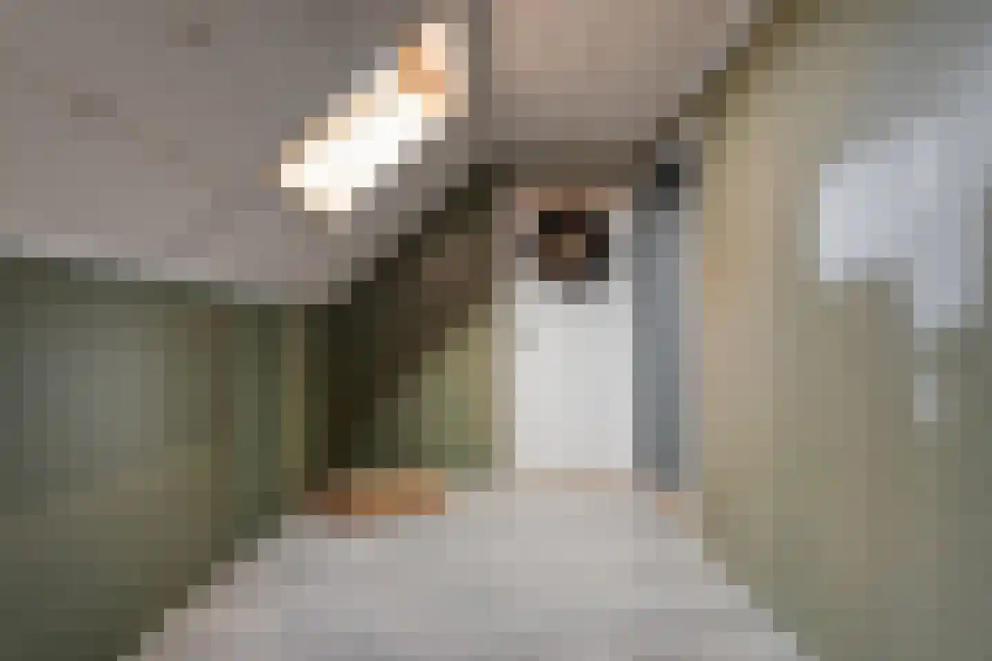 Noorderkanaalweg 7 Koekange thumbnail 58