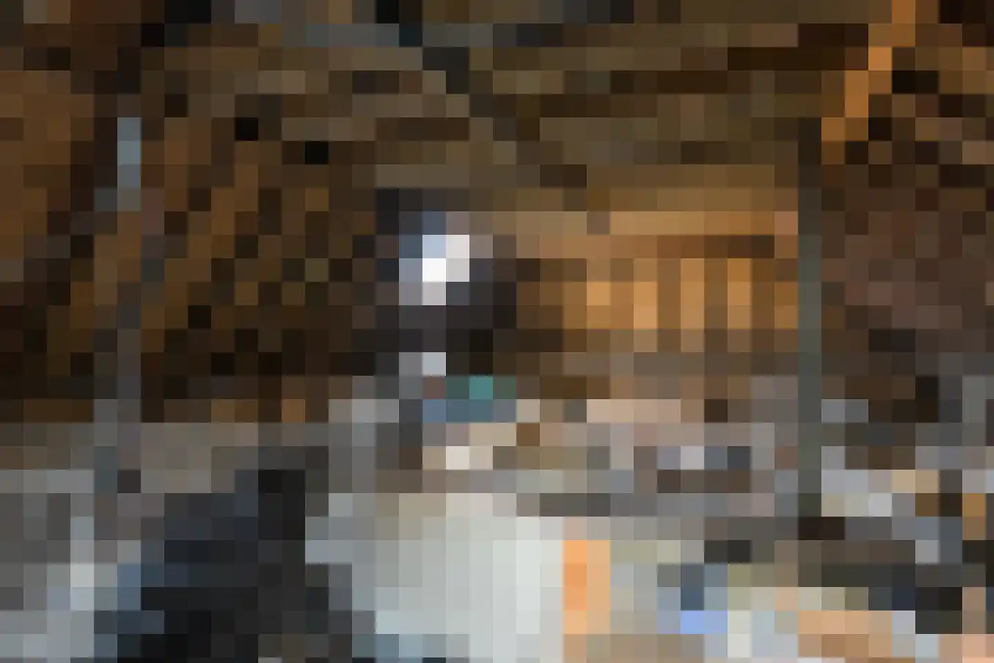 Noorderkanaalweg 7 Koekange thumbnail 85