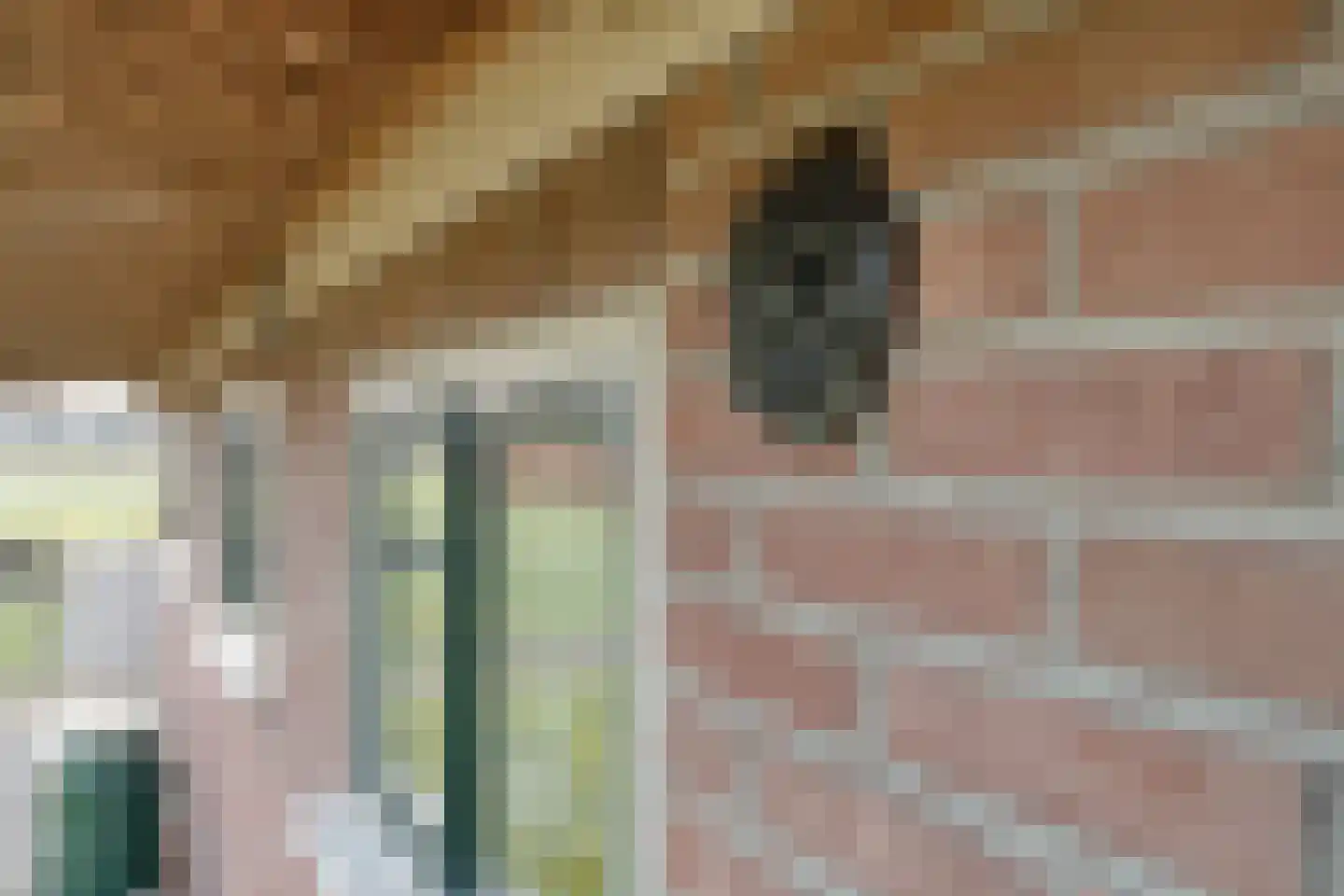 Noorderkanaalweg 7 Koekange thumbnail 93