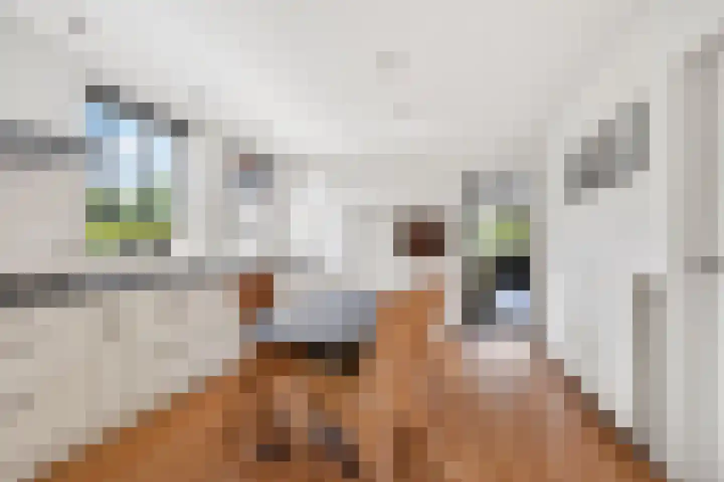Noorderkeerkring 123 Klazienaveen thumbnail 10