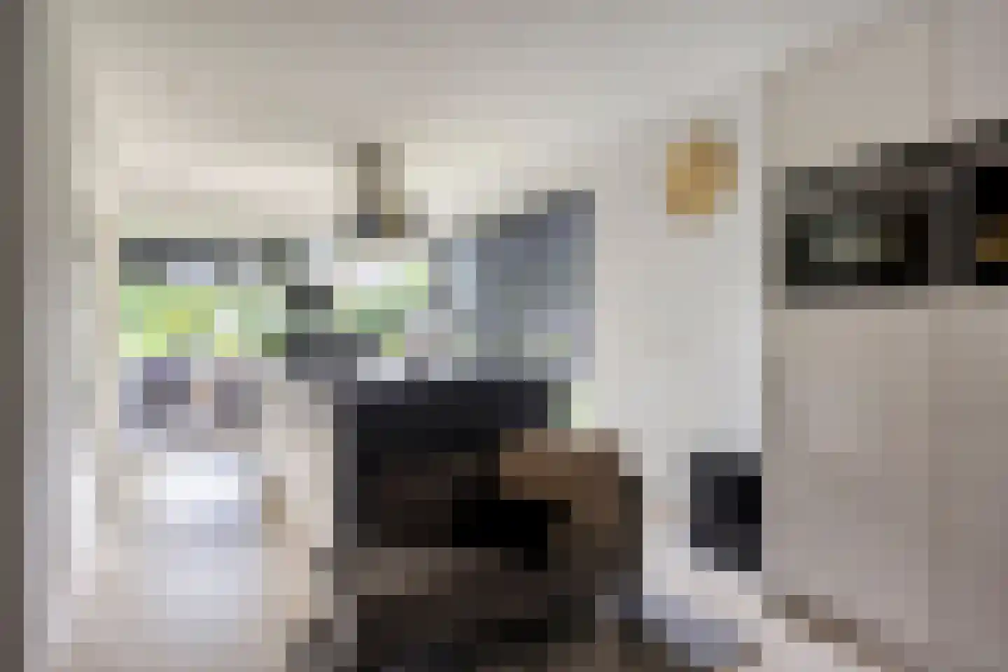 Noorderkeerkring 4 Klazienaveen thumbnail 15
