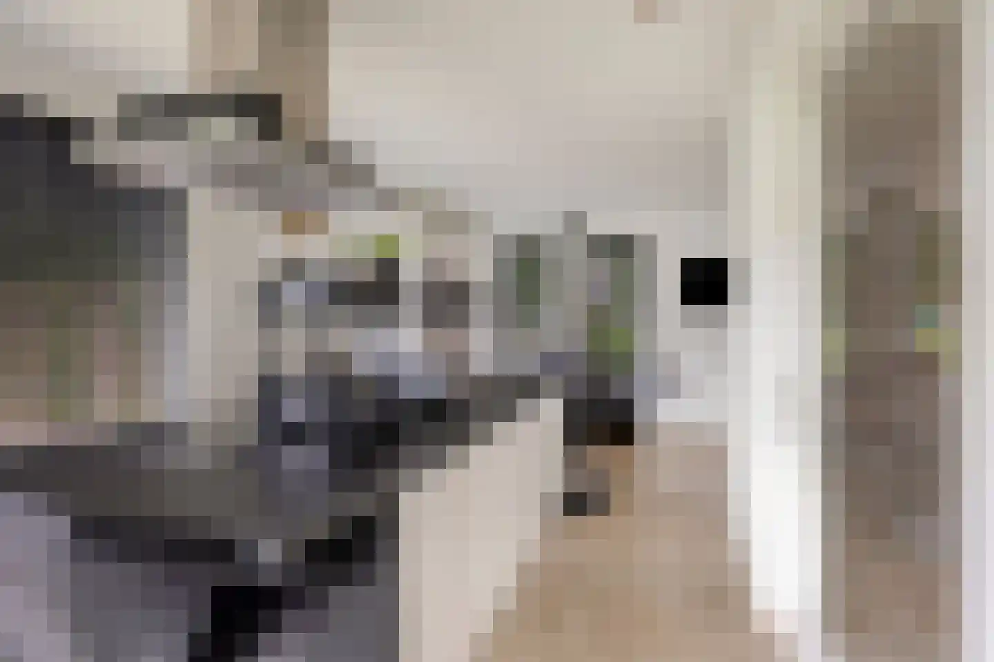 Noorderkeerkring 4 Klazienaveen thumbnail 17