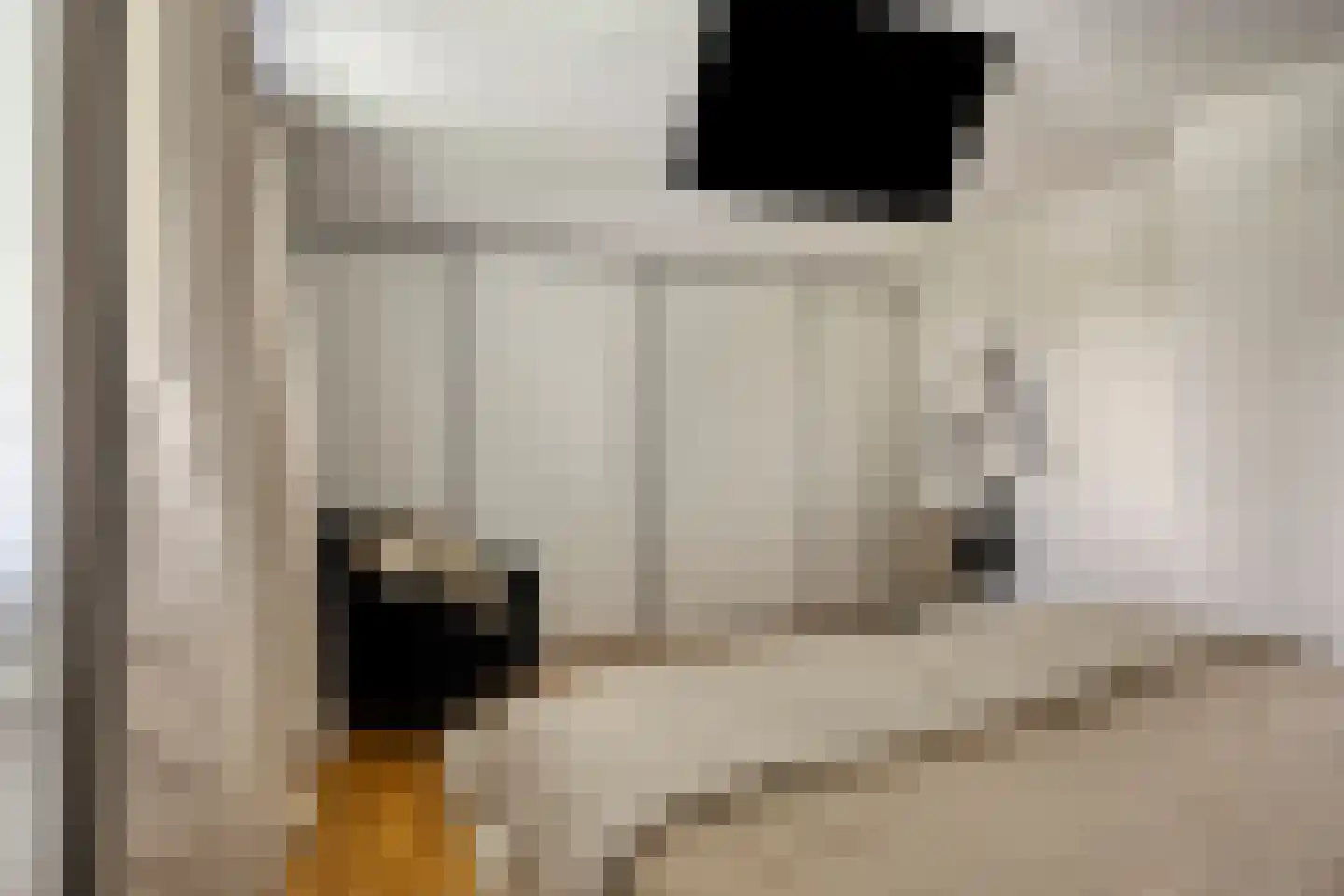 Noorderkeerkring 4 Klazienaveen thumbnail 32