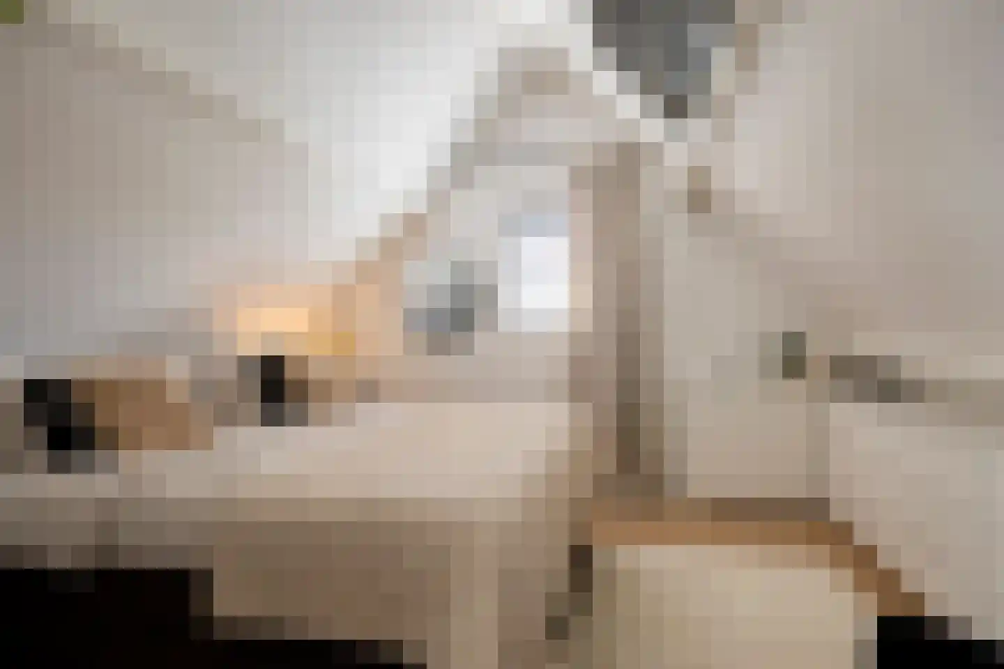 Noorderkeerkring 4 Klazienaveen thumbnail 39
