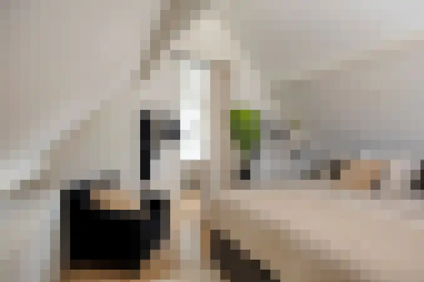 Noorderkeerkring 4 Klazienaveen thumbnail 40