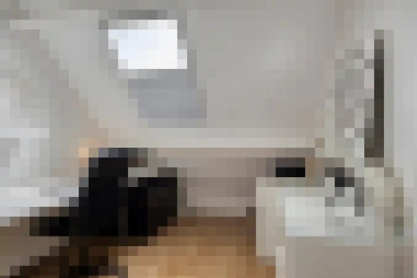Noorderkeerkring 4 Klazienaveen thumbnail 41